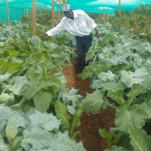 WhatsApp Image 2025-07-22 at 22.45.50_364fe80e