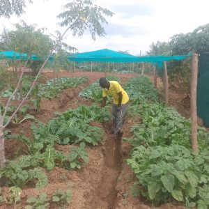 WhatsApp Image 2025-07-22 at 22.45.51_57103fda